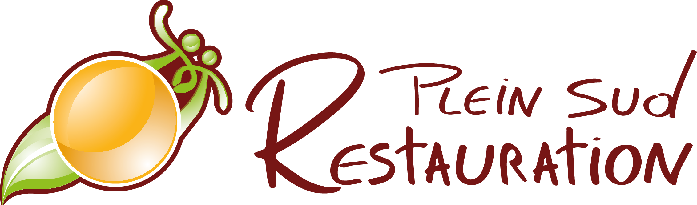 Plein Sud Restauration